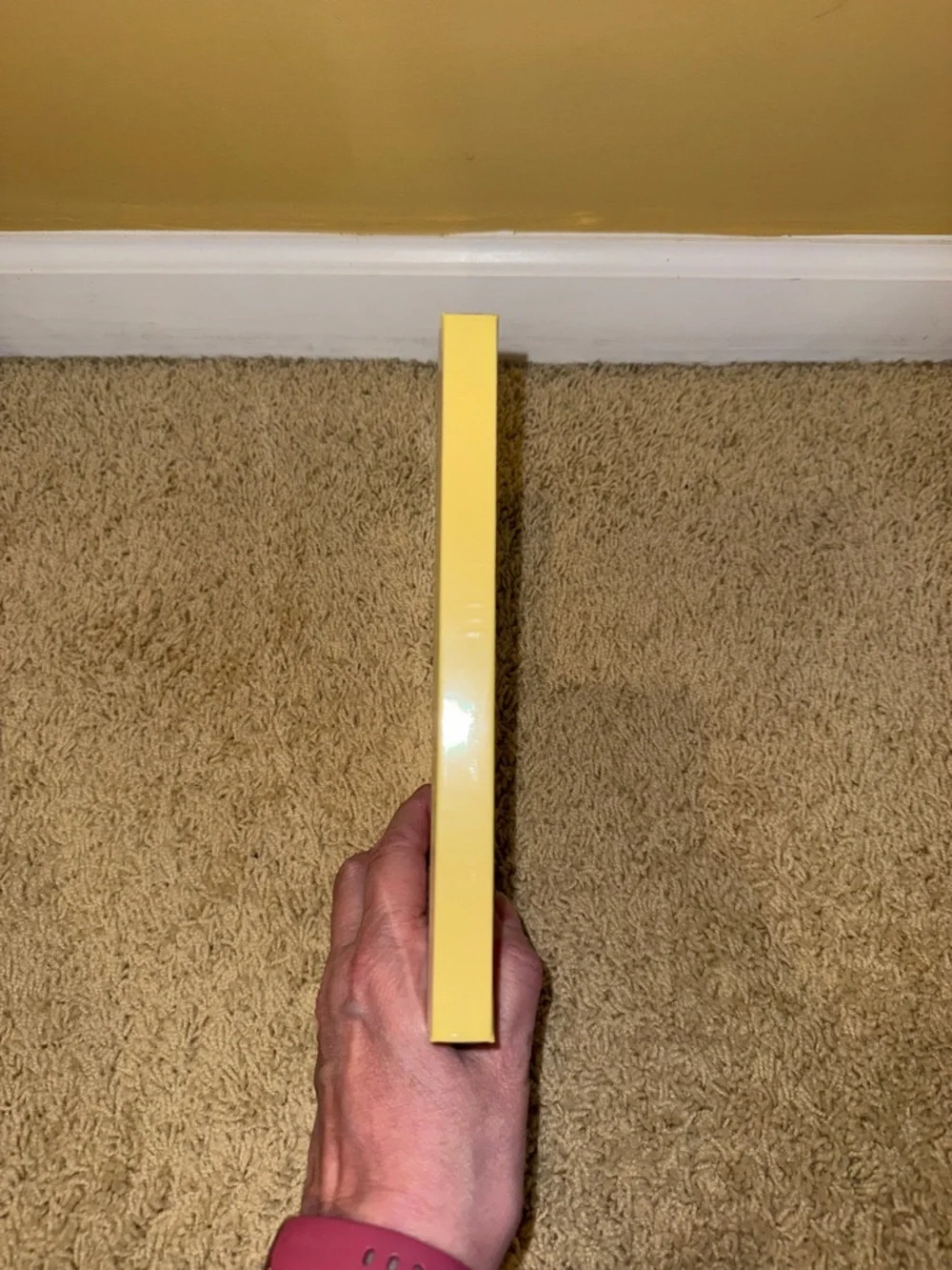 kate spade Lavender and Yellow Monogram ‘s’ Journal